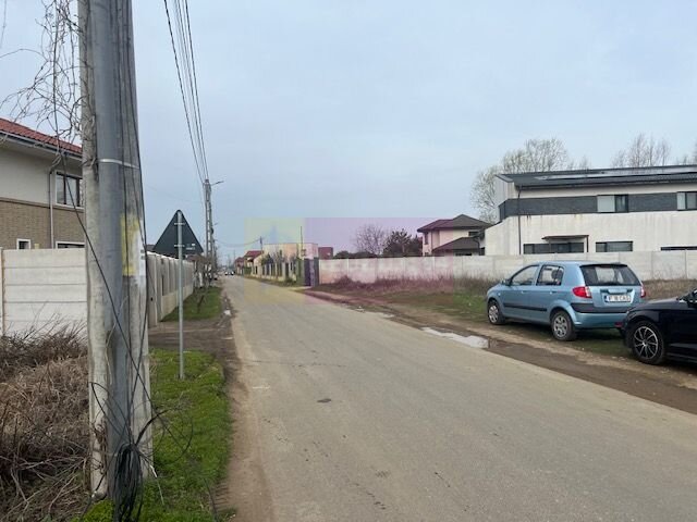 Teren Domnesti- Drumul Targului.