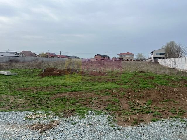 Teren Domnesti- Drumul Targului.