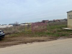 Teren Domnesti- Drumul Targului